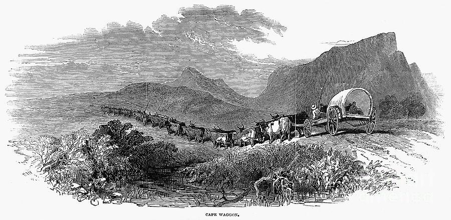 ARTWORK-Engraving Cape Wagon