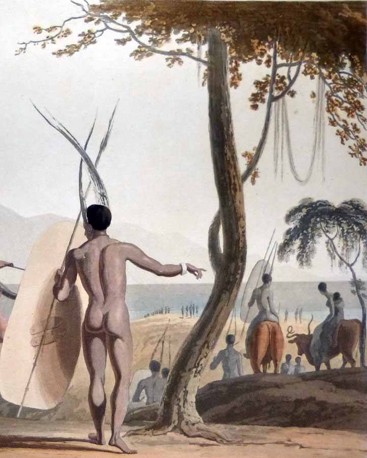 ARTWORK-XHOSA Warroir and riding oxen with trained horns