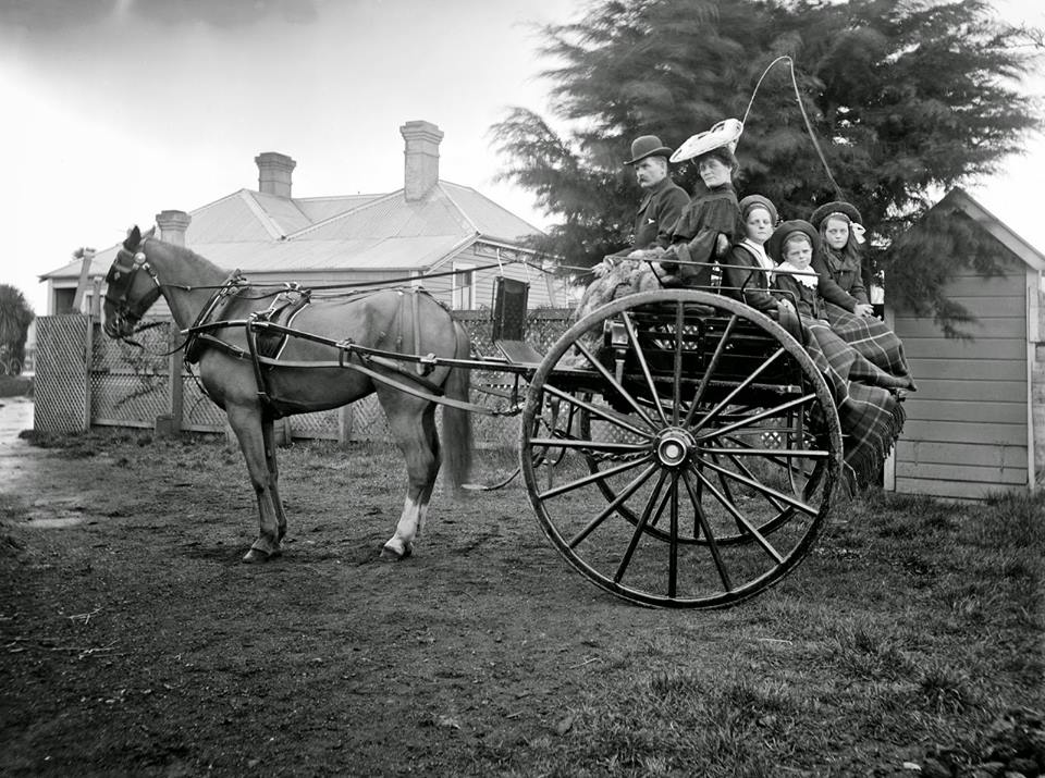 PHOTO- Typical Dog cart with two transverse seats